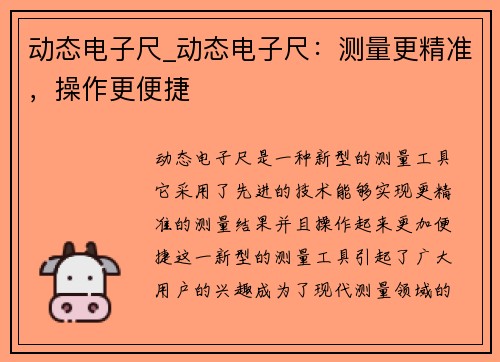 动态电子尺_动态电子尺：测量更精准，操作更便捷